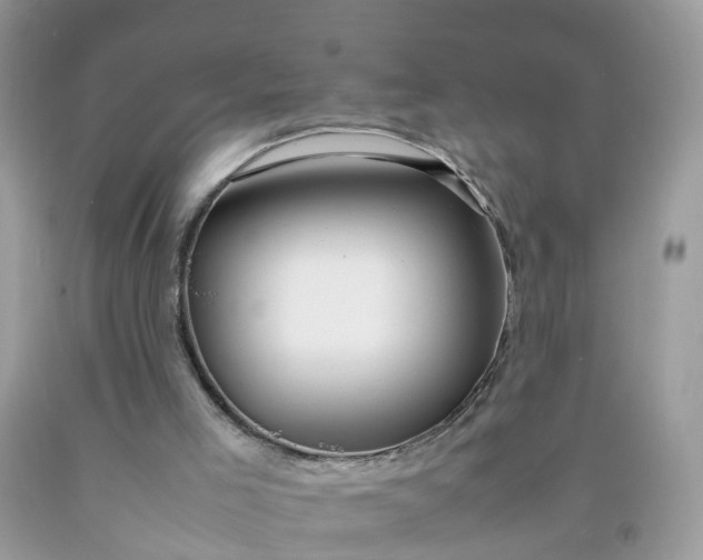 X0000090430005200707272142