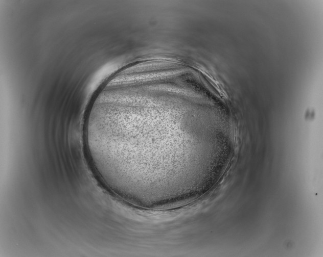 X0000090430006200707272142