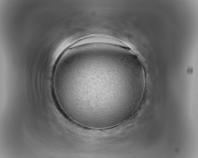 X0000090430007200707272142