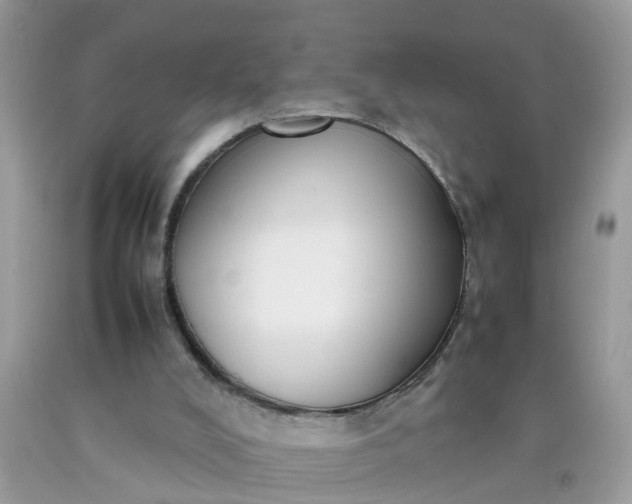 X0000090430008200707272142