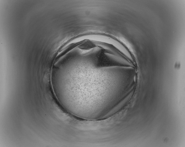 X0000090430009200707272142