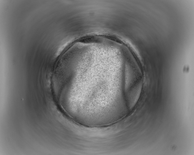 X0000090430010200707272142