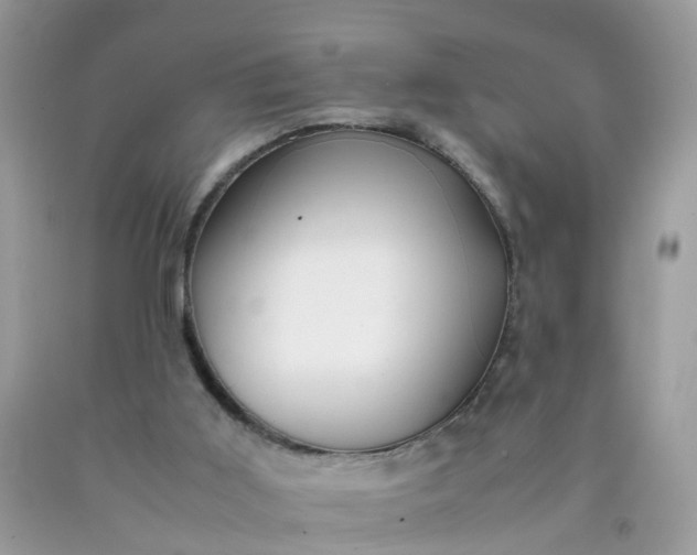 X0000090430011200707272142