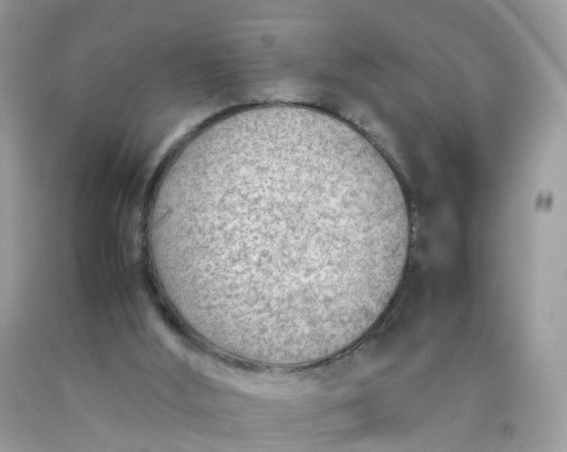 X0000090430012200707272142