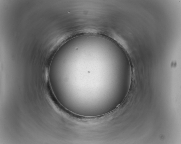 X0000090430013200707272142