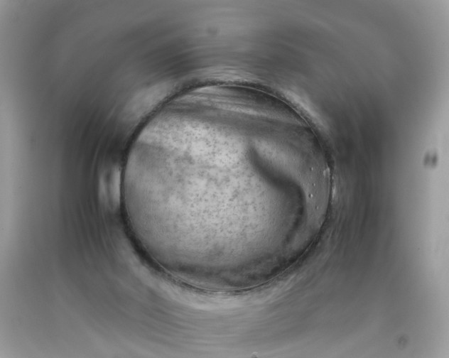 X0000090430014200707272142