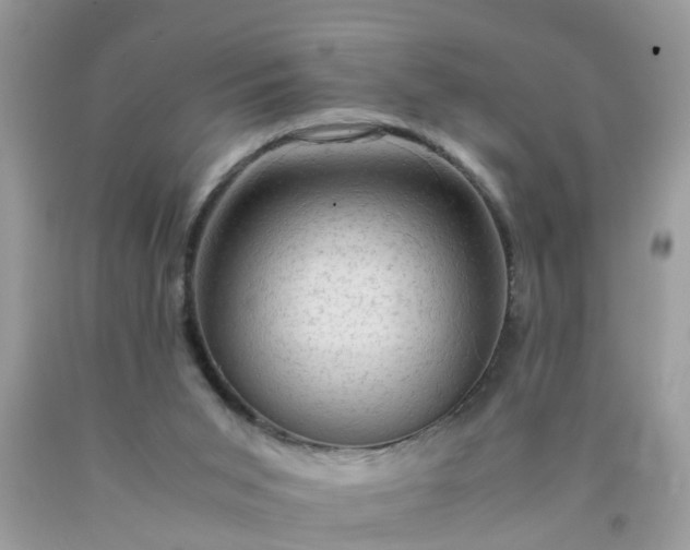 X0000090430015200707272142