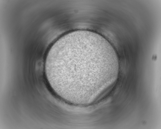 X0000090430016200707272142