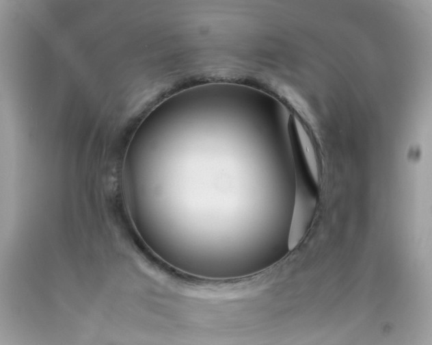 X0000090430017200707272142