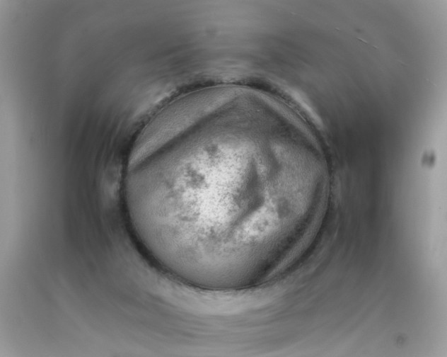 X0000090430018200707272142