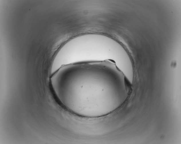 X0000090430019200707272142