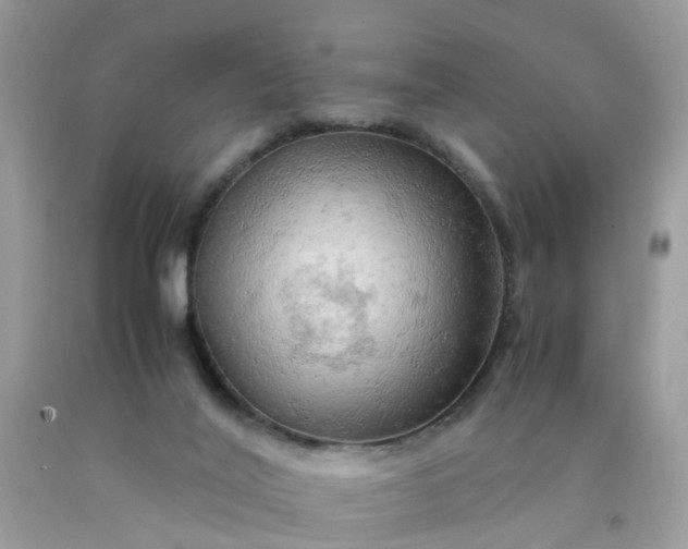 X0000090430020200707272142