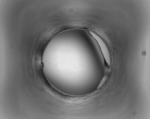 X0000090430021200707272142