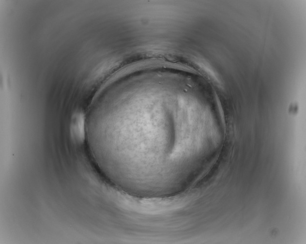 X0000090430022200707272142