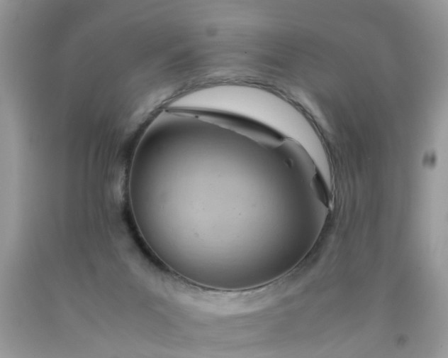 X0000090430023200707272142