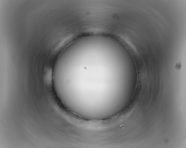 X0000090430024200707272142