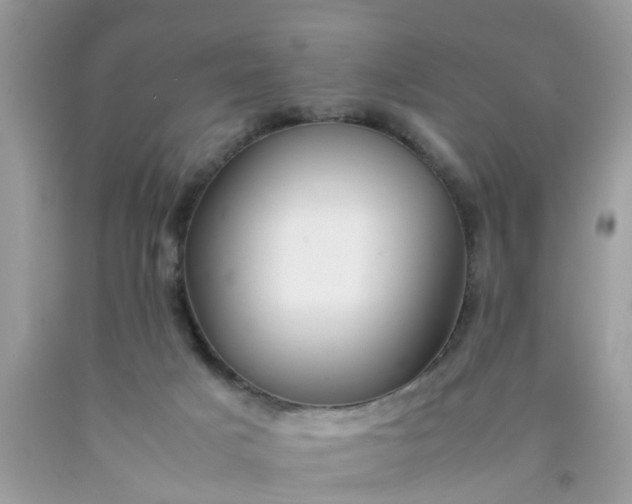 X0000090430025200707272142