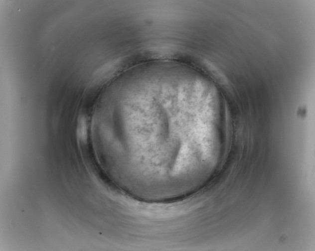 X0000090430026200707272142