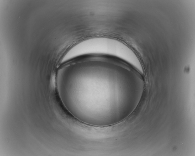 X0000090430027200707272142