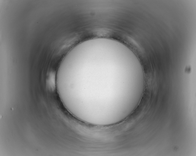 X0000090430028200707272142