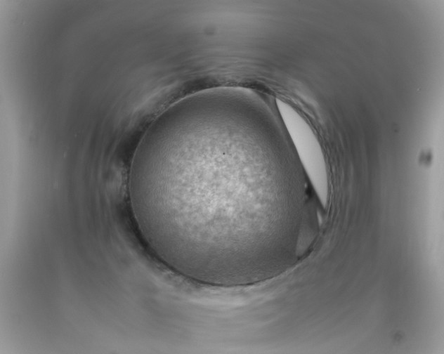 X0000090430029200707272142