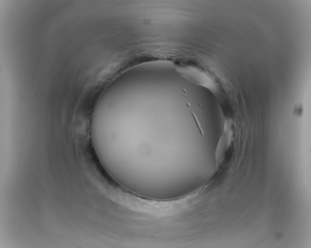 X0000090430031200707272142