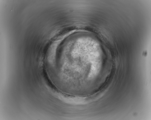 X0000090430032200707272142