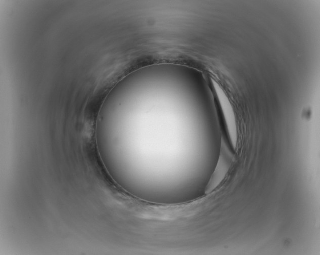 X0000090430033200707272142