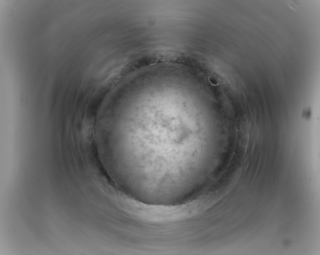 X0000090430034200707272142