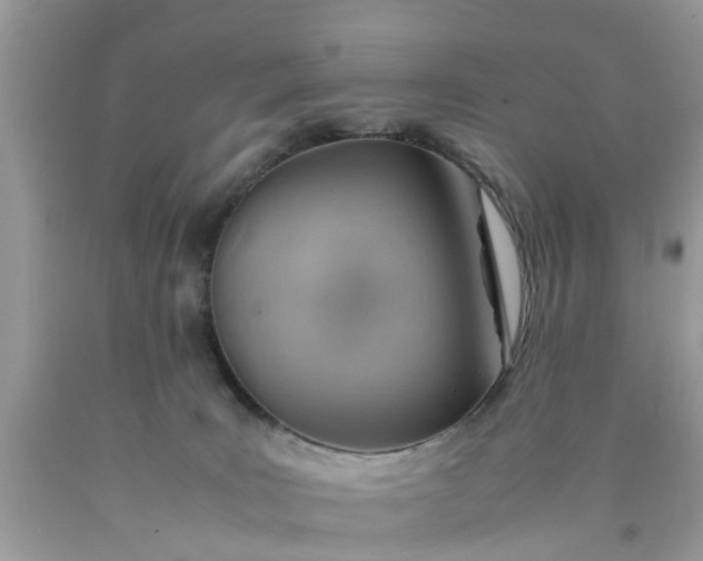 X0000090430035200707272142