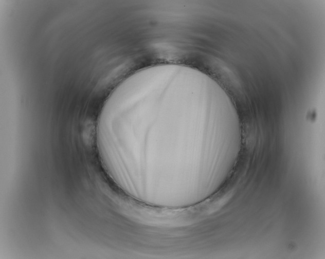 X0000090430036200707272142