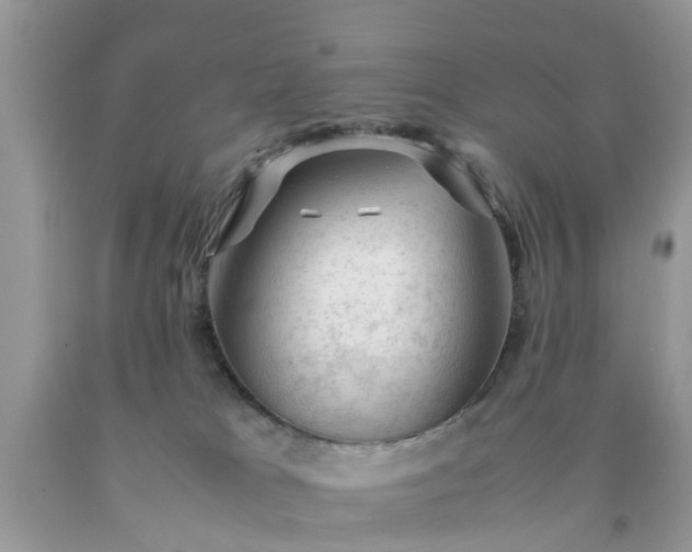 X0000090430037200707272142