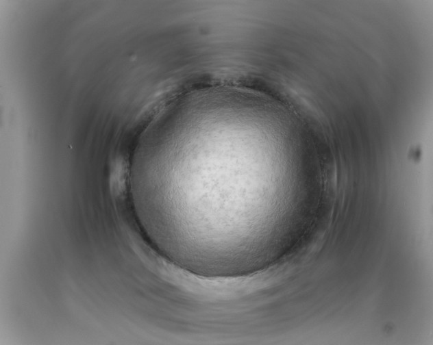 X0000090430038200707272142