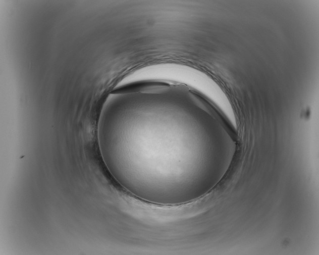 X0000090430039200707272142