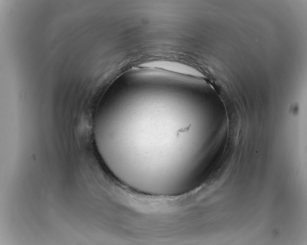 X0000090430040200707272142