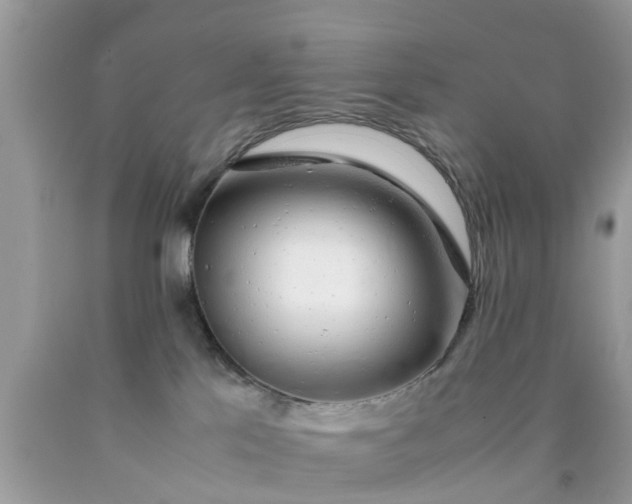 X0000090430041200707272142