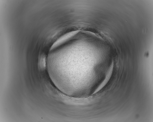 X0000090430042200707272142