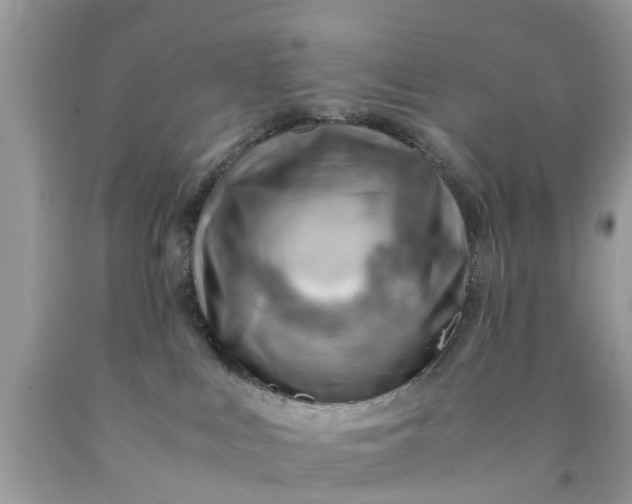 X0000090430043200707272142