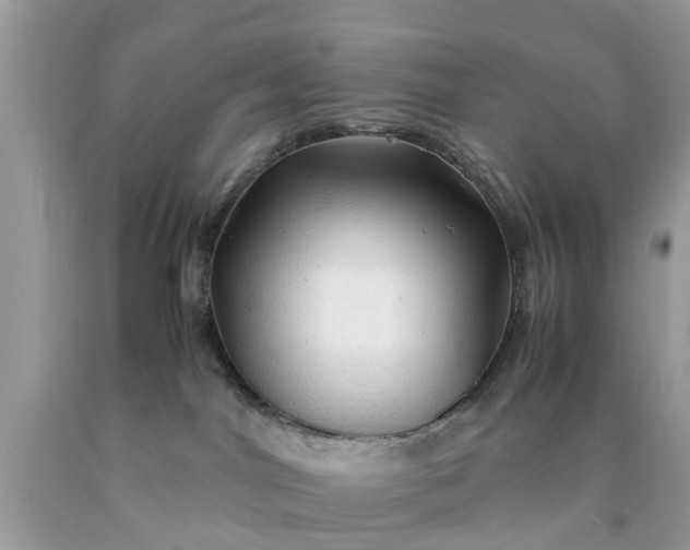 X0000090430044200707272142