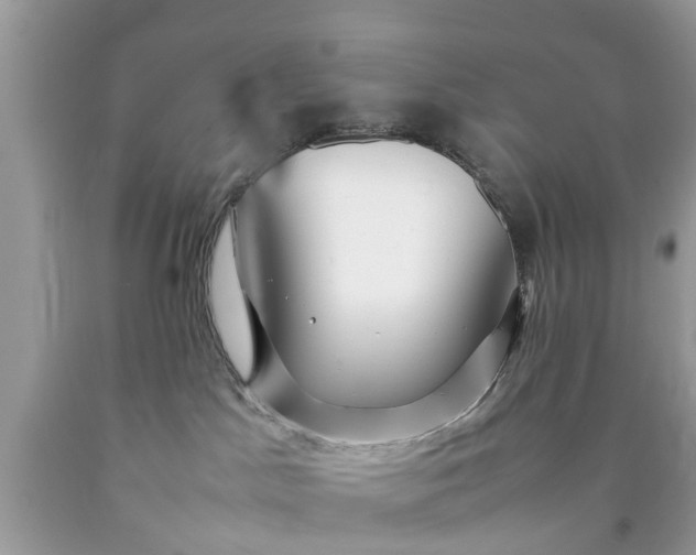 X0000090430045200707272142