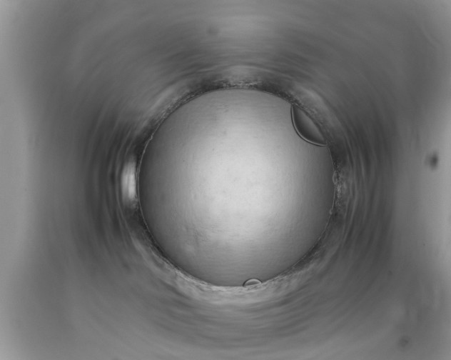 X0000090430046200707272142