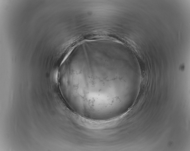 X0000090430047200707272141