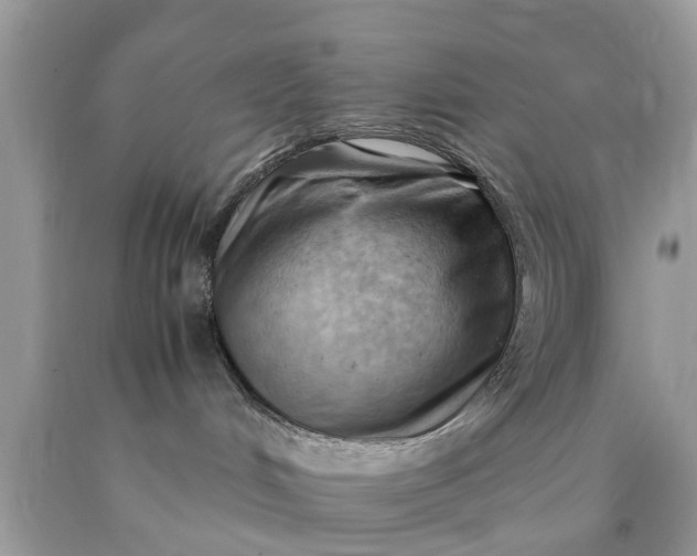 X0000090430048200707272141