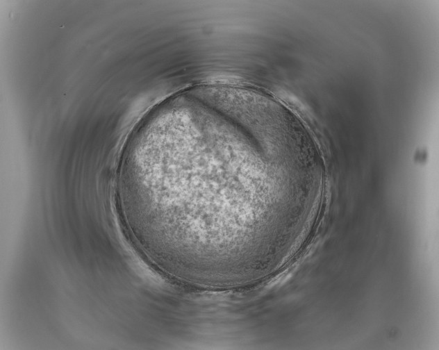 X0000090430049200707272141