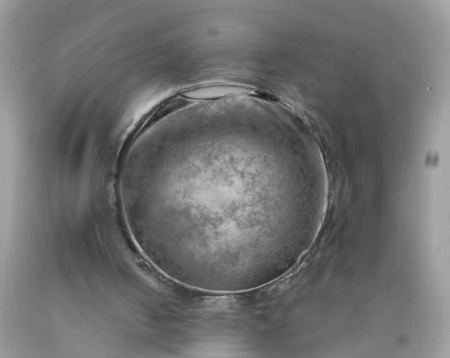 X0000090430050200707272141