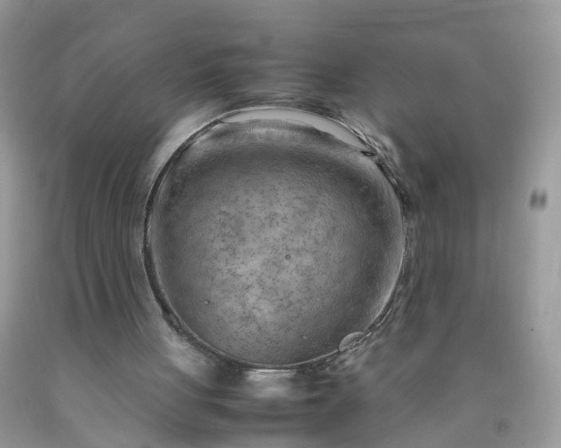 X0000090430051200707272141