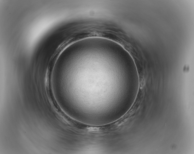 X0000090430052200707272141