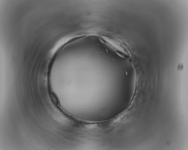 X0000090430054200707272141