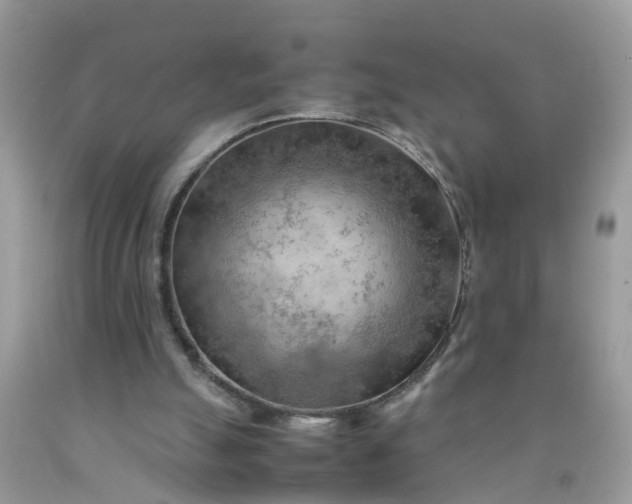 X0000090430055200707272141