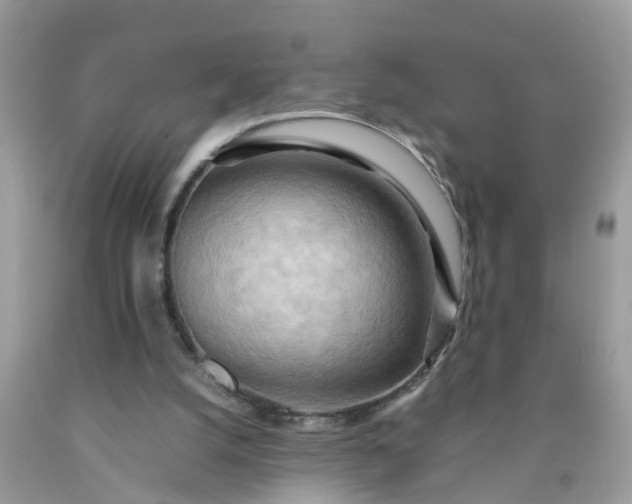 X0000090430056200707272141